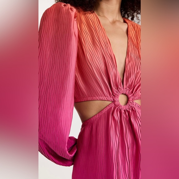 Simkhai Jaelyn Ombre Plisse Cut Out Dress - Picture 5 of 6